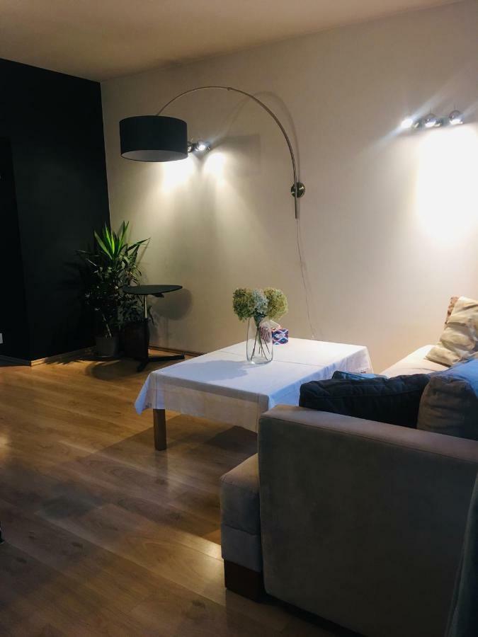 Apartament - Centrum ザブジェ エクステリア 写真