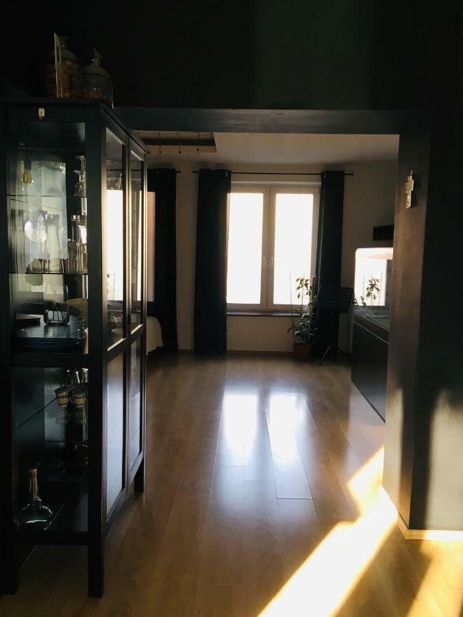 Apartament - Centrum ザブジェ エクステリア 写真