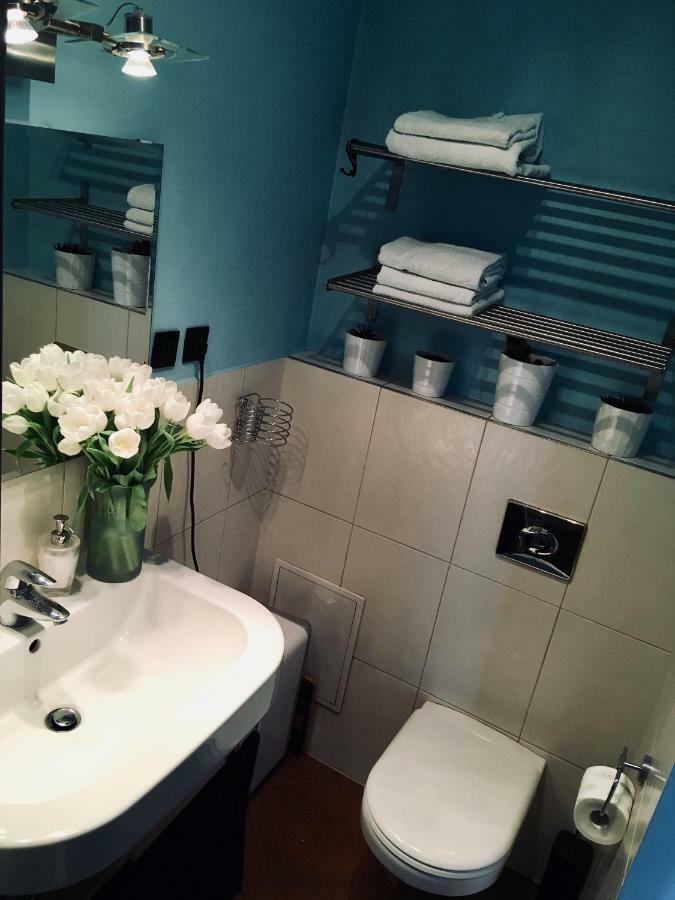 Apartament - Centrum ザブジェ エクステリア 写真