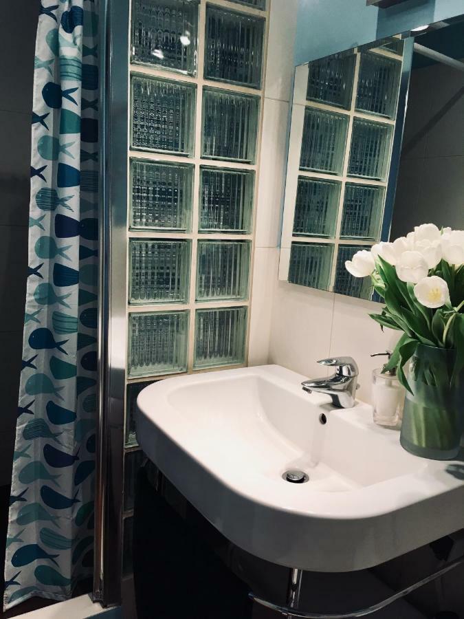 Apartament - Centrum ザブジェ エクステリア 写真